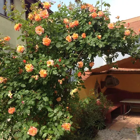Ferienwohnung Casanova Bad Windsheim Exterior foto